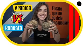 ☕ Café Arábica vs Café Robusta  Las principales diferencias [upl. by Cordeelia212]