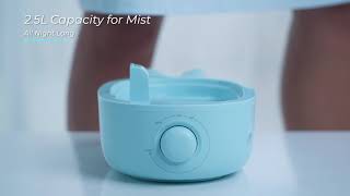 TaoTronics Whhaled Shape Humidifiers for Babies [upl. by Merridie349]