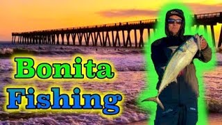 Bonita Fishing Gulf Coast Piers  Navarre Pier amp Okaloosa Island Pier [upl. by Larimer60]