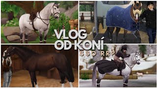 VLOG OD KONÍ  SSO RRP cz [upl. by Atin]