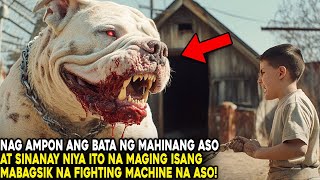 NAG AMPON ANG BATA NG INOSENTENG ASO AT SINANAY NYA ITO NA MAGING MABAGSIK NA FIGHTING MACHINE [upl. by Ledua666]