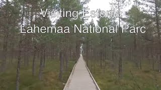 Visiting Estonia Lahemaa National Parc Palace Palmse Altja Palace Sagadi [upl. by Graaf160]