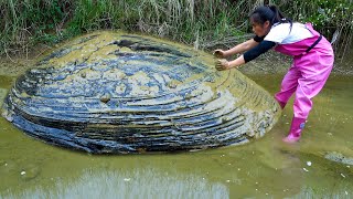 I noticed some movement under the mud there used to be a large pearl clam [upl. by Ecnal348]