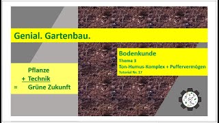 Bodenkunde  TonHumusKomplex und Puffervermögen  Tutorial 17 [upl. by Annocahs109]