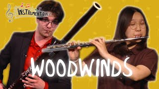 What are woodwind instruments [upl. by Anileme]