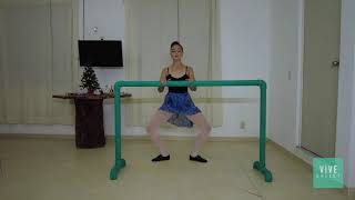 Ballet para ADULTOS nivel PRINCIPIANTES [upl. by Ysnat]