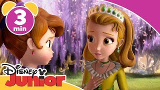 Sofia den Första  Är prinsessan Hanna hjältinna  Disney Junior Sverige [upl. by Nirre]