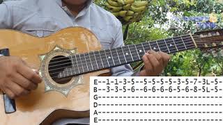 Quererte Jamás  Requinto tutorial y tablaturas  Bertín y Lalo  Pero quererte jamas  Requinto [upl. by Doownel]