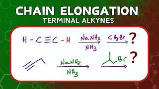 Chain Elongation via Alkylation of Terminal Alkynes [upl. by Colyer]