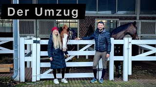 Wohnen und Leben mit unseren Pferden 🐴 Ein Traum geht in Erfüllung  Team Inleobo [upl. by Nanji]