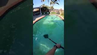 Pool cleaning From Green to clean pool cleaning asmr [upl. by Ahsikar]