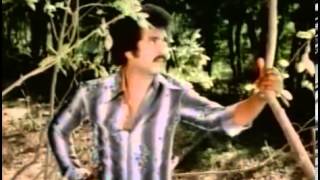 Panimalar 1981  All Songs Teaser [upl. by Fiertz]