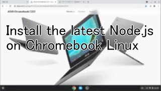 Install the latest Nodejs on Chromebook Linux 20240211 [upl. by Grishilde172]