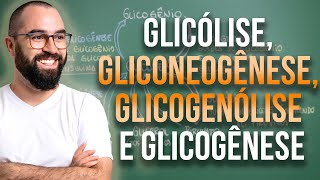 Glicólise Gliconeogênese Glicogenólise e Glicogênese  Apêndice 3  Módulo 7 Fisiologia Humana [upl. by Amias691]