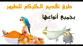 فوائد الكركم التومريك للطيور وطريقة تقديمه للطيور [upl. by Clarkin]