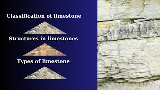 classification of limestone  structures in limestones  types of limestone [upl. by Yllehs743]