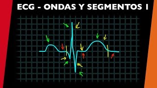 ECG  Ondas intervalos y segmentos 1  visita mi Podcast y aprende Medicina mientras descansas [upl. by Riggs101]