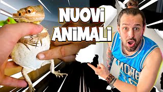 Mi Hanno Regalato degli ANIMALI di Nuovo [upl. by Riay]