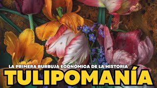 TULIPOMANÍA la CRISIS de los TULIPANES que generó la primera BURBUJA ECONÓMICA de la historia 🌷 [upl. by Zeni]