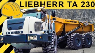 Liebherr TA 230 Dumper Einsatz  Walkaround amp Demo im Steinbruch Jobreport [upl. by Petunia]