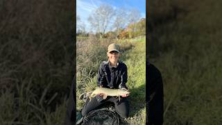 Lovely pike at frisby lakes  fishing fishponds freshwaterfish [upl. by Onstad270]