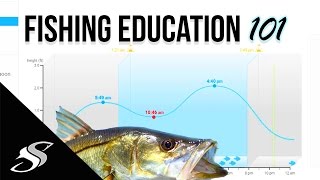 Fishing How to  Understanding Tidal Coefficient Barometric Pressure amp Solunar [upl. by Noek]