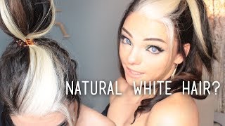 All about WHITE HAIR  Stef Sanjati [upl. by Nailliw]