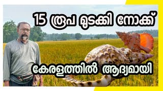 നെൽ കർഷകർക്ക് ഒരു സന്തോഷവാർത്ത [upl. by Savihc]