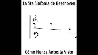 Quinta Sinfonia de Beethoven [upl. by Marve910]