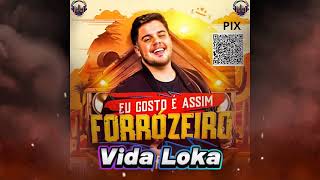 VIDA LOKA  ARTURZINHO PLAYBACK [upl. by Bone]