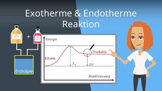 Exotherme und Endotherme Reaktionen  Beispiele und Energiediagramme [upl. by Girish977]