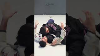 PELEO JIU JITSU SIN SABER NADA Entrevista jiujitsu parati [upl. by Myra200]