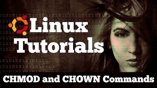 TUTORIAL How to Use chmod amp chown Commands in Linux [upl. by Farly]