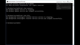 How to Delete the SoftwareDistribution Folder in Windows 10 amp 11 [upl. by Cence]