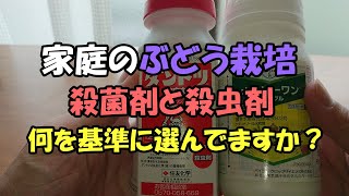 ぶどうの殺菌剤と殺虫剤を購入 何を基準に選ばれてますか？ [upl. by Anivek]