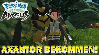 SICHLOR Fundort amp zu AXANTOR Entwickeln in Pokemon Legenden Arceus [upl. by Socin]