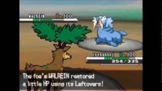 Pokemon BW WiFi Battle 009 NinjaDeathStrike vs vash [upl. by Ace106]