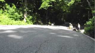 longboarding faceplant fail [upl. by Ssur693]