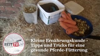 Kleine Ernährungskunde  Pferdefütterung leicht gemacht Lucias Vlogs REITTV [upl. by Yor659]