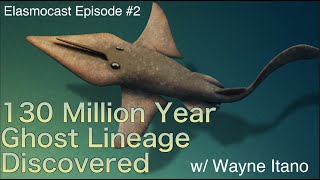 Elasmocast Episode 2 Possible 130 Million Year Ghost Lineage Discovered w Wayne Itano [upl. by Krall]