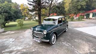 1965 Fiat 1100 millecento [upl. by Htur]