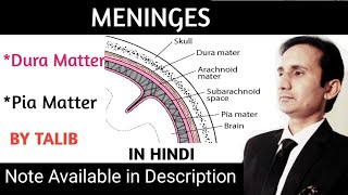 Meninges Anatomy amp Physiology in Hindi StructureFunction Dura mater  Arachnoid mater  Pia mater [upl. by Yeloc]