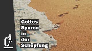 Gottes Spuren in der Schöpfung Eine Kurzdokumentation über Schöpfungsindizien [upl. by Welles]