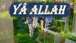 YA ALLAH  EVC  HUZİ İLAHİ  İlahiler 2022 [upl. by Mello]