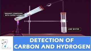 Detection of Carbon And Hydrogen [upl. by Morocco543]