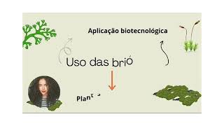 vídeo sobre a importância econômica e ecológica das Briófitas e Pteridófitas [upl. by Tisbe217]