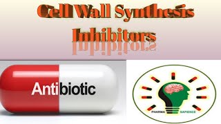 Cell Wall Synthesis Inhibitors [upl. by Natasha262]