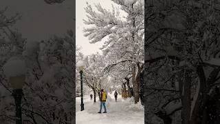 Aspen is pure magic during winter❄️ aspen colorado winter dreamy visitaspen wintermagic [upl. by Ahtebat]