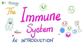 Introduction to the Immune System  Types of Immunity  Immunology Playlist [upl. by Neih]