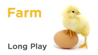 WeeSchool MacDonalds Farm – Long Play HD [upl. by Ydneh]